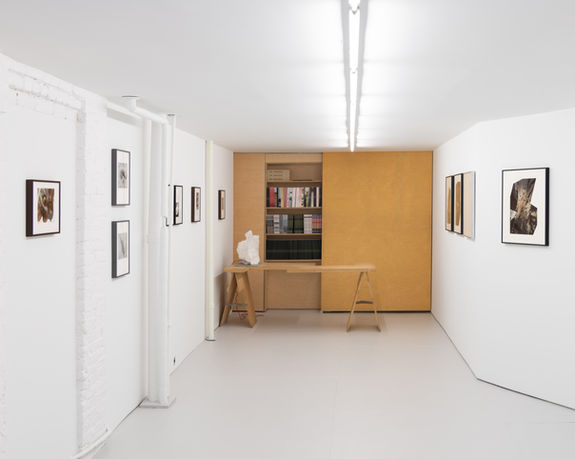 Assaf Evron's "if a butterfly ever saw an owl" at ro art services, installation shot