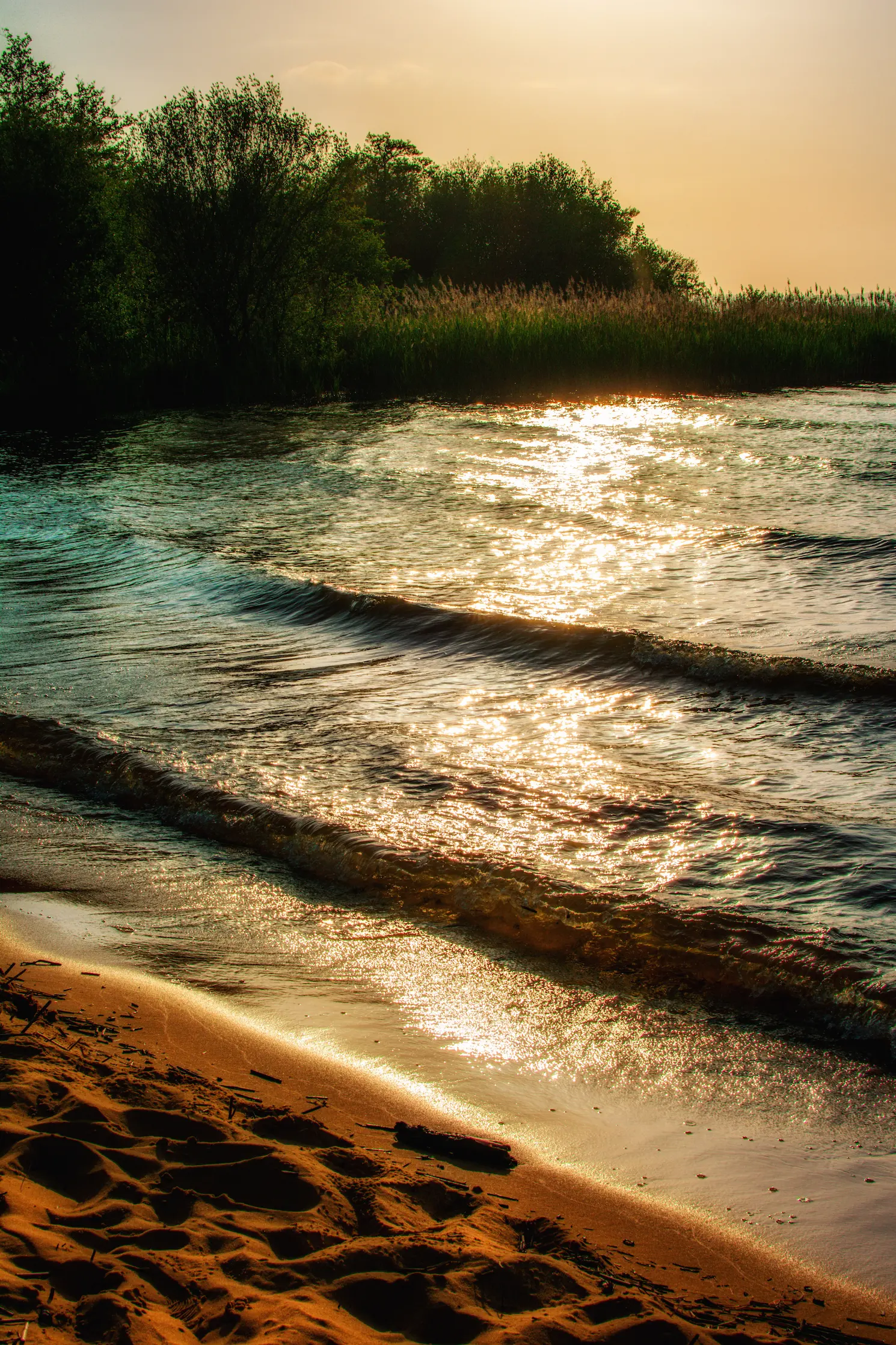 plage et reflet sur l'eau du lac de Sanguinet