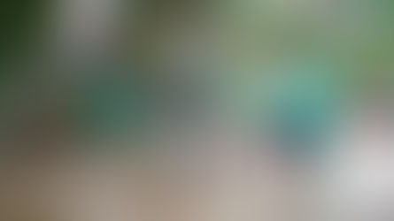 Defesa Civil de Ilhabela acompanha alerta de chuvas intensas para o Litoral Norte