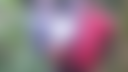 Bombeiros resgatam mulher após torção no pé na cachoeira de Boiçucanga, em São Sebastião