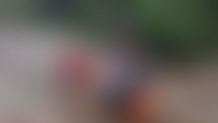 Corpo de Bombeiros socorre gestante de 35 semanas após queda na Cachoeira do Viveiro, em Ilhabela