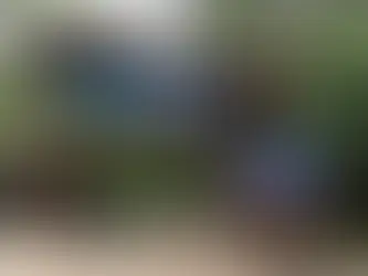 Estrada de Castelhanos é reaberta com restrições após vistoria no Parque Estadual de Ilhabela