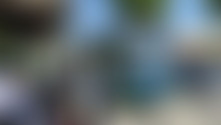 Prefeitura de Ilhabela atualiza tarifa reduzida do transporte público após 16 anos sem reajuste