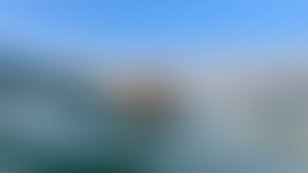 jaguatirica nadando no canal de ilhabela