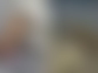 Capivara é atropelada por veículo da Sabesp em Ilhabela e motorista foge sem prestar socorro; empresa se manifesta