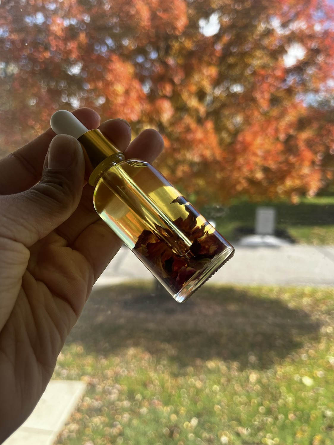 Everything Wellness Oil