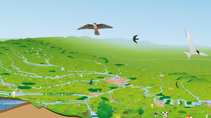 Fleuves Grandeur Nature : un outil pédagogique novateur