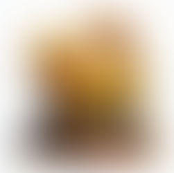 Nasce il Riconoscimento Salamandra D’Oro al Merito Sportivo e Sociale