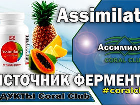 ПОЛЬЗА БАДОВ Зачем нужны ферменты ч.4