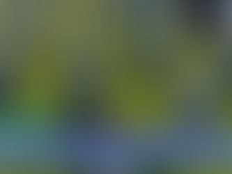 Asi expresa @Ivan_Velasquez_excusas del Estado colombiano frente a victimas de falsos positivos