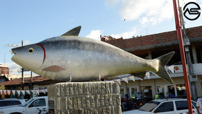 Bocachico Maná de los Ríos por Gerney Ríos