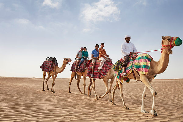 DUbai Desert Camel inside GD.MY image.jpg