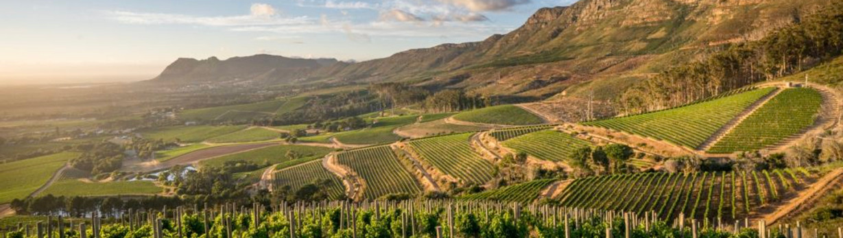 20231227114944cape_town_winelands_wine_route.jpeg