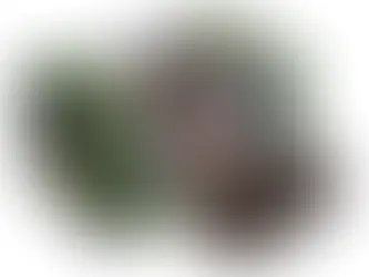 🫦Deep Throat Hunter Review – A Unique Oral-Themed Onahole with Intense Throat Texture