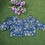 Thumbnail: Designer Georgette Blouse