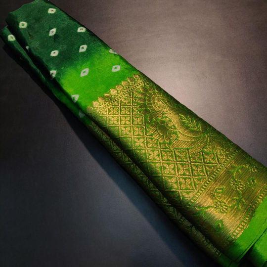 Pure Soft Patola Saree with Kanchi border and Bandini print