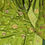 Thumbnail: Banaras Munga Crepe silk  Saree with Stitched Blouse