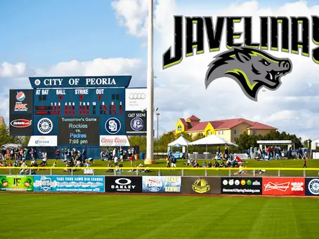 A Full Breakdown of the Minnesota Twins prospects headed to the Arizona Fall League