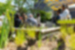 Lucía León introducing her workshop to attendees at the Overton community garden. Photo: Joe Ignatius