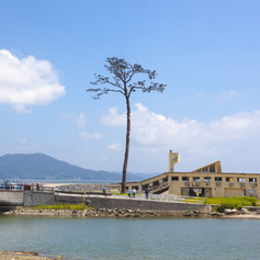 The Recovery and Reconstruction Games: See how Iwate has grown from disaster