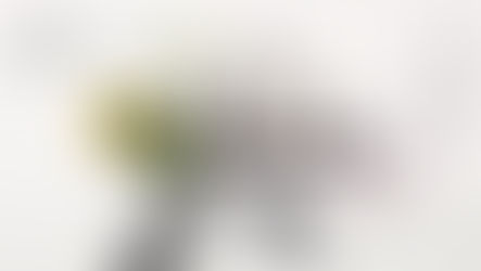 【 ROKU〈六〉 MIDTOWN BLOSSOM LOUNGE 】2025/3/14(金)〜4/13(日)