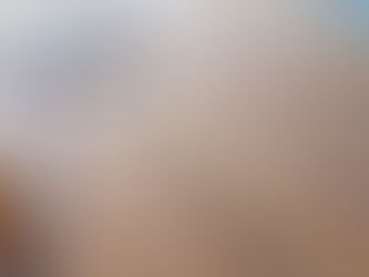 時の流れに抗わない