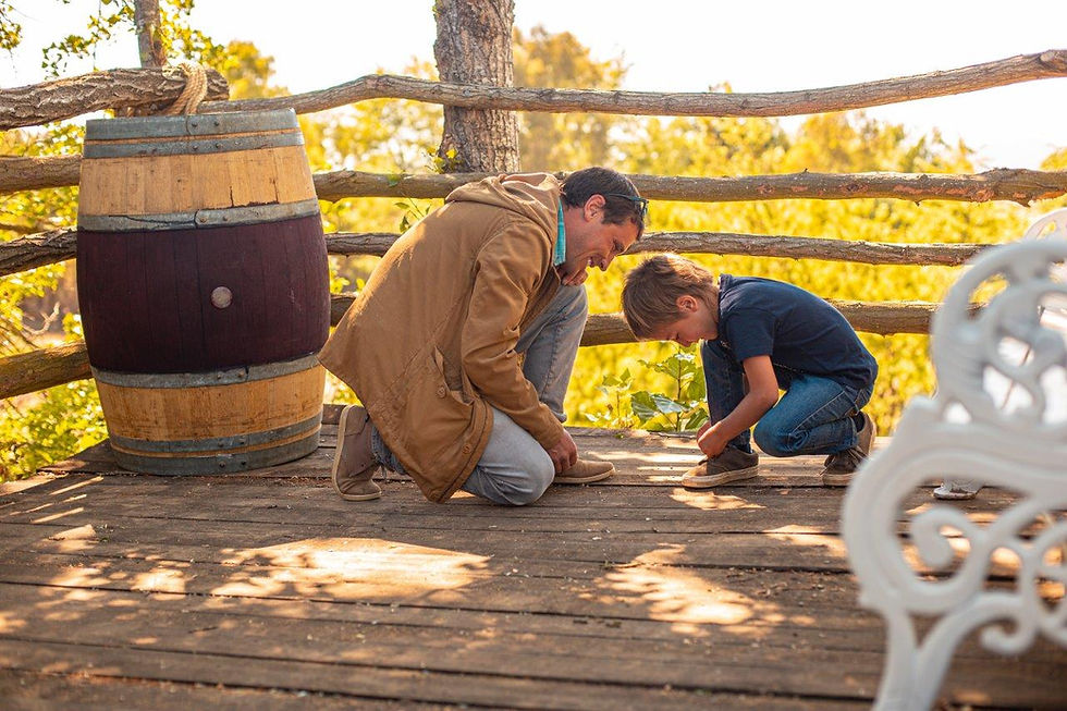 Colchagua: Viña La Playa Hotel & Winery presenta sus experiencias de invierno