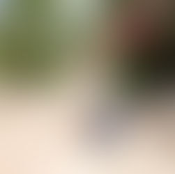 Descubre las diversas opciones de alojamiento en Aruba para un viaje inolvidable