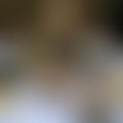 Barrio Italia: este 6 de abril realiza Ruta del brunch