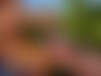 Vendimia 2024: Panorama gratis en Casa Valle Viñamar