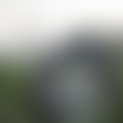 Acciones por un mundo más sustentable