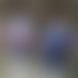 Remueven más de 15 kilos de contaminantes en Laguna Verde gracias a cabello reciclado