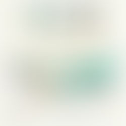 Barrio Comercial La Boca de Concón invita a descubrir sus nuevas rutas turísticas