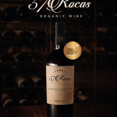 Viñedos Orgánicos Emiliana gana Medalla de Oro en el certamen mundial "Global Cabernet Sauvignon Masters 2026"