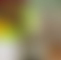 El Día de la Felicidad, en Chile, se festeja con un mate