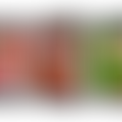 Cereales en versión mini