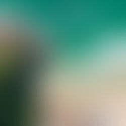 Florianópolis: Por qué encanta a los chilenos 