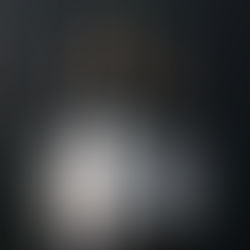 Toro de piedra: Cuatro cepas para encantarse