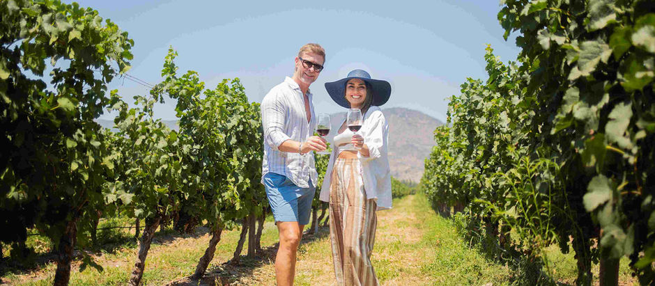 Día del vino: Colchagua celebra con barra libre, música en vivo y experiencias