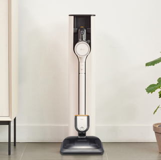 Un hogar pet friendly: cómo convivir con mascotas y que la ropa sobreviva