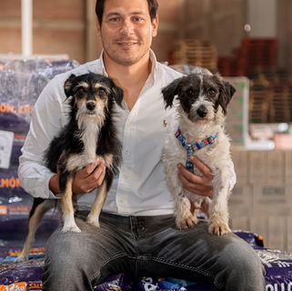 Nutrición por etapas: La clave veterinaria para prevenir enfermedades y prolongar la vida de perros y gatos