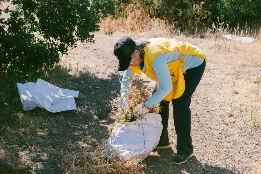 Marley Coffee se suma a una jornada de prevención de incendios en el Parque Natural San Carlos de Apoquindo