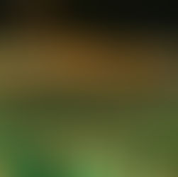 Fiesta Bresh llega a Chile