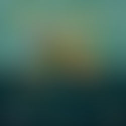 Chiloé: Se viene el Primer Festival Isla de Hongos