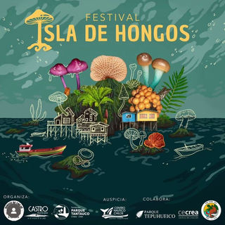 Chiloé: Se viene el Primer Festival Isla de Hongos
