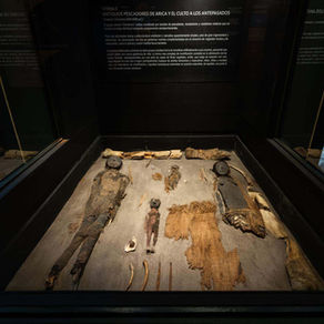Más antigua que las pirámides de Egipto: La cultura Chinchorro en Arica que encanta a turistas de todo el mundo