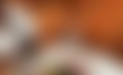 Valdivia: Naturaleza y sabor en armonía