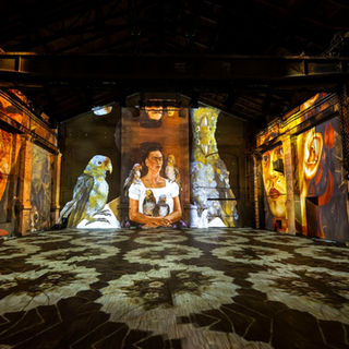 “Viva Frida Kahlo” aterriza en Santiago con una experiencia inmersiva que recorre la vida de la icónica artista mexicana
