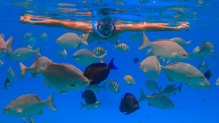 Semana Santa : 88% elige viajes internacionales 