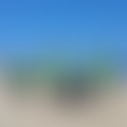 “Mechoneo Solidario”: Estudiantes limpian playa Caleta Portales